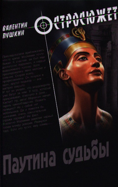 Пушкин Валентин - Паутина судьбы