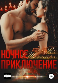 Ночное приключение  - Альмира Рай
