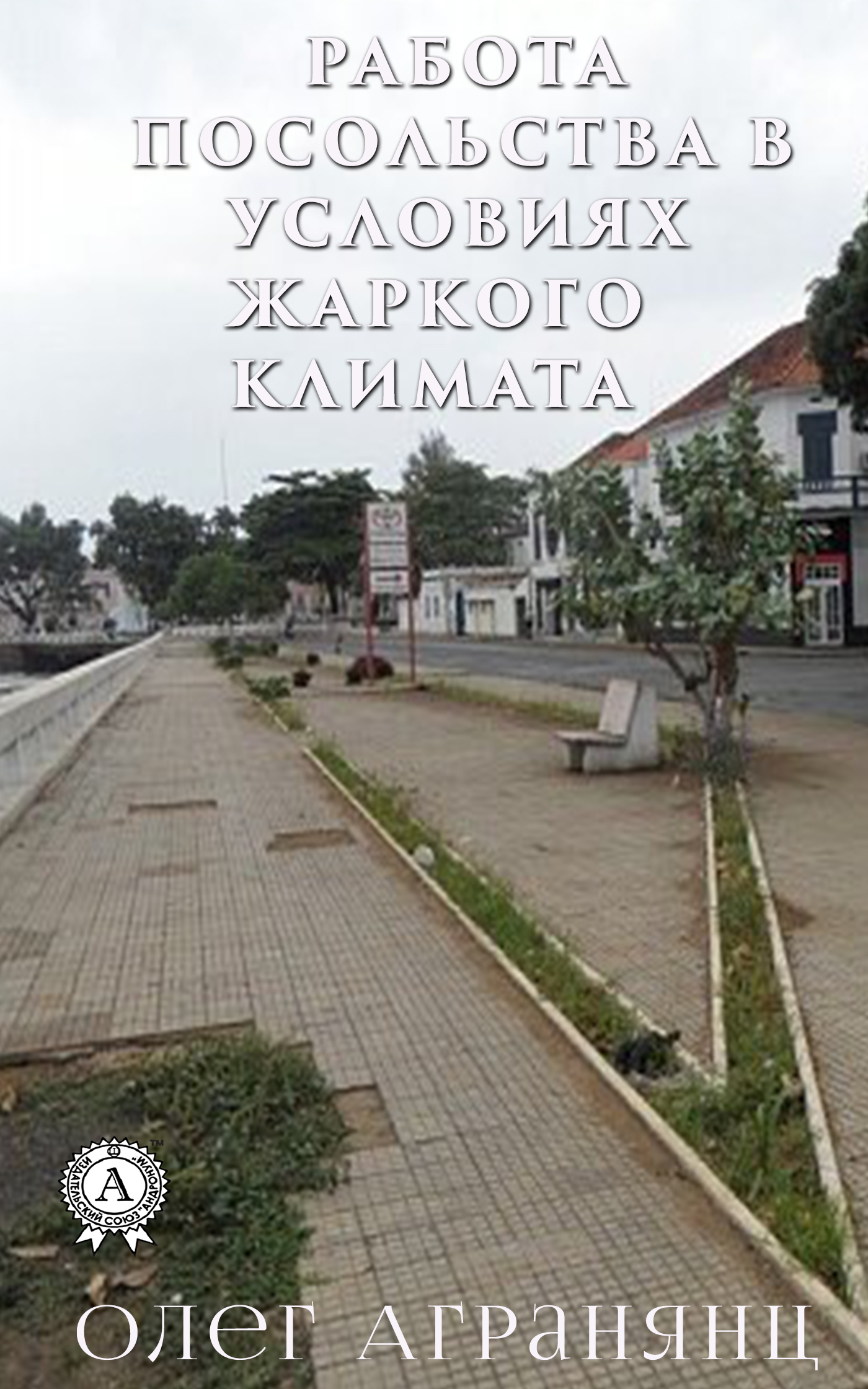 Работа посольства в условиях жаркого климата - Олег Сергеевич Агранянц