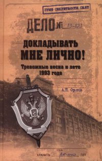 Докладывать мне лично! Тревожные весна и лето 1993 года - Андрей Орлов