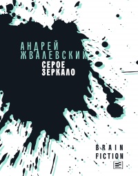 Серое зеркало - Андрей Жвалевский