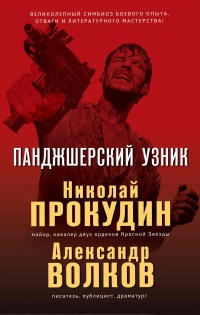 Панджшерский узник - Александр Волков